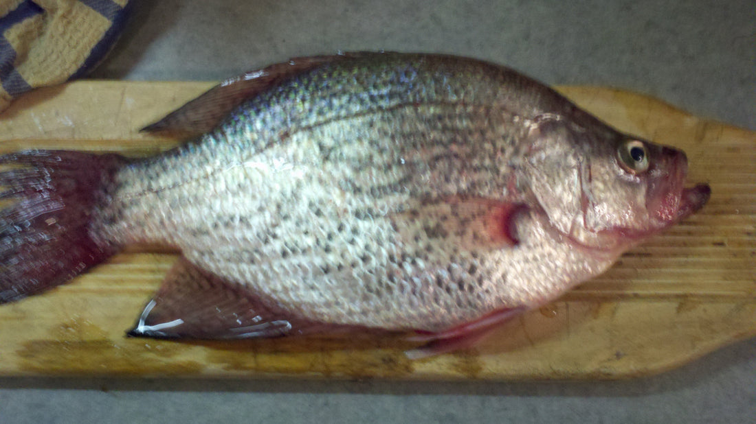 Springtime Means Crappie!