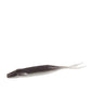 Zoom Winged Fluke 4in 8/bag Gizzard Shad