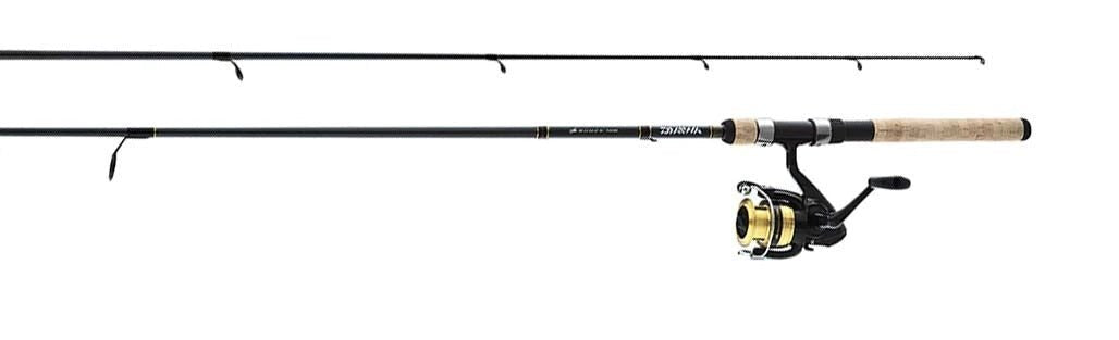 Daiwa Combo D-Shock Spinning Combo 1BB 7' 2pc M