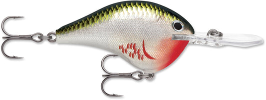 Rapala DT Series 3/8 2" Bleeding Olive Shiner