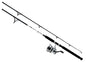 Daiwa Combo D-Wave Spin Combo 1BB 7' 2pc M