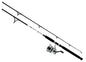 Daiwa Combo D-Wave Spin Combo 1BB 8' 2pc M