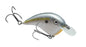 Strike King Chick Magnet Jr 1/4oz  2-4ft Sexy Shad 2.0