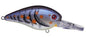 Strike King KVD Deep Diver Square Bill 1.5 Blue Craw