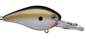 Strike King KVD Deep Diver Square Bill 1.5 TN Shad 2.0