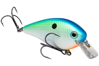 Strike King KVD Square Bill 5/8oz Citrus Shad