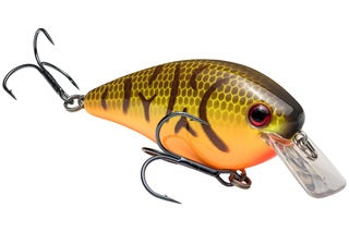 Strike King KVD Square Bill 5/8oz Orange Belly Craw