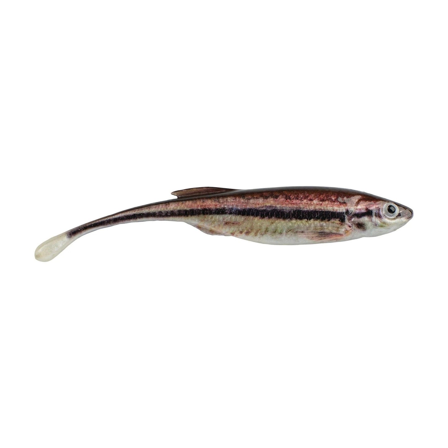 Berkley PowerBait Drip Minnow 4" HD Blacknose Shiner 5ct