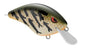 Spro Speed Demon 55 3/8oz 3-5 Green Pumpkin Craw