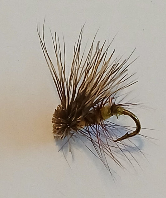 Elk Caddis yellow size #14 dry