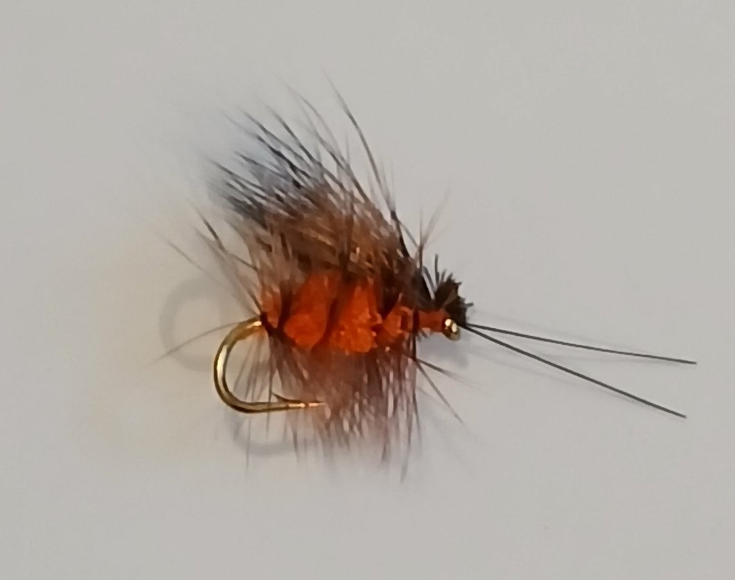 October irresistible caddis size #12 dry