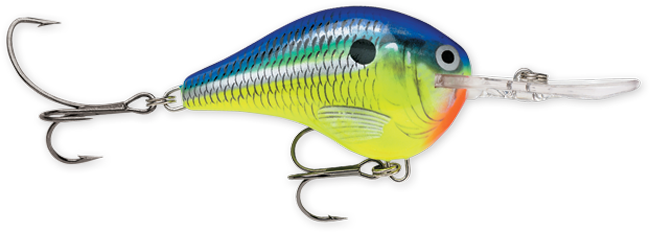 Rapala DT Series 3/8 Parrot