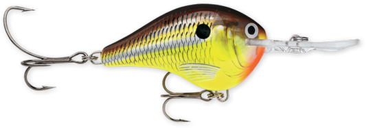 Rapala DT Series 3/4 Hot Mustard