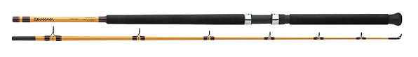 Daiwa FT Surf Spinning Rod 10' 2pc M