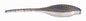 Bass A Pro Tiny Shad 2" 15ct Blue Thunder